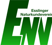 Projektentwicklung und -umsetzung zur Sichtbarmachung der vorhandenen Flora in Esslingen
